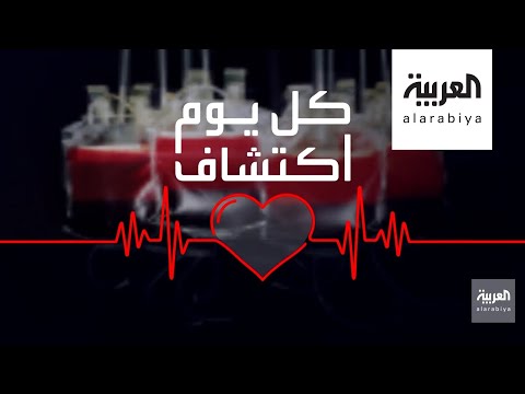 لايف ستايلشاهد: اكتشاف مهم لفائدة تخفيف تركيز البروتينات في الدم185668/0