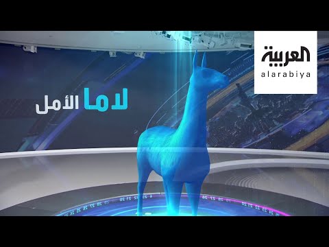 لايف ستايلشاهد: دمُ اللاما علاج محتمل لفيروس "كورونا"189485/0