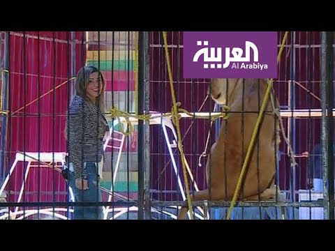 شاهد مصرية تخيف الوحوش